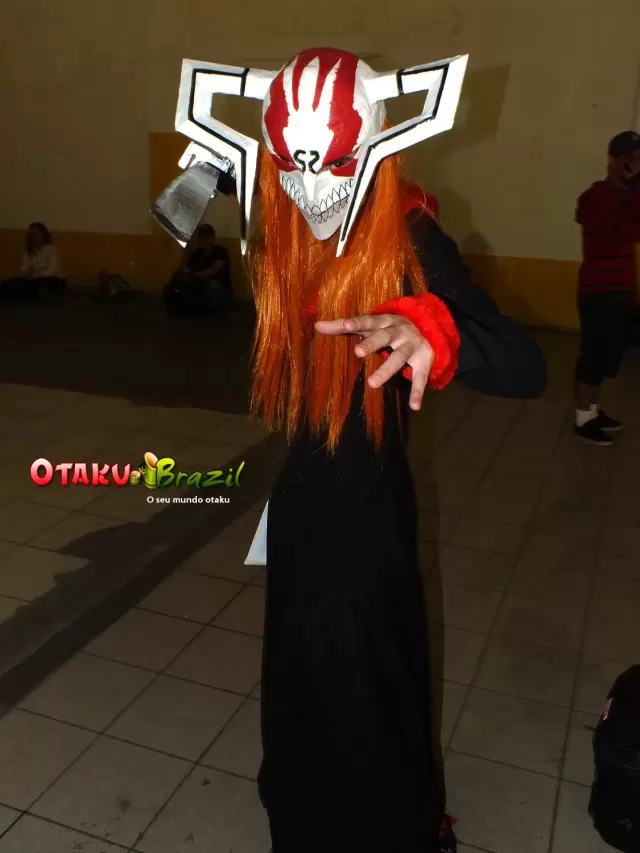 Anime Friends 2011