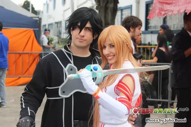 Anime Friends 2013 preview 1