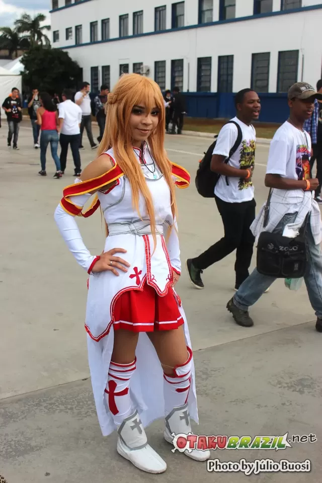 Anime Friends 2013