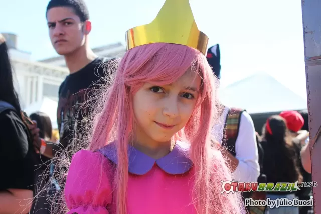 Anime Friends 2013