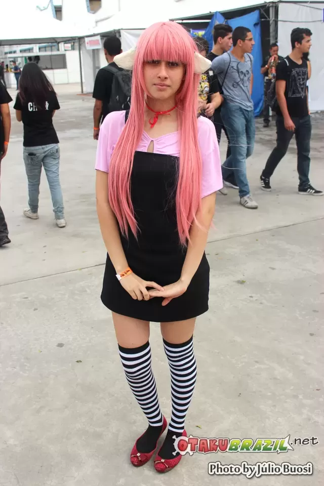 Anime Friends 2013