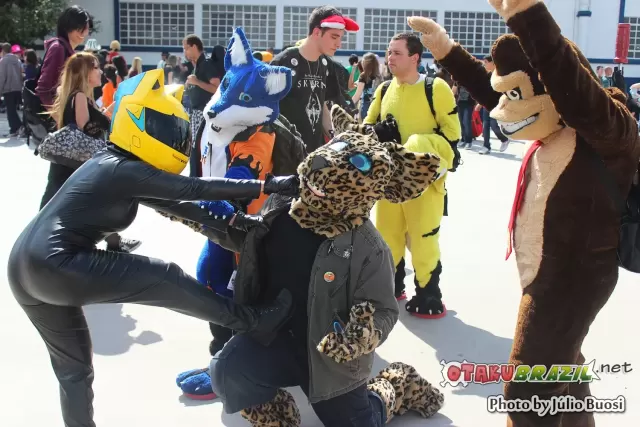 Anime Friends 2013