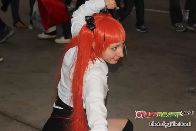 Anime Friends 2013