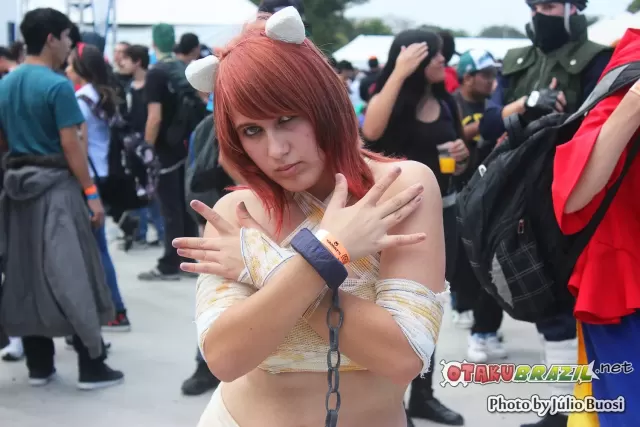 Anime Friends 2013