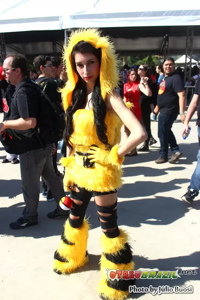 Anime Friends 2013