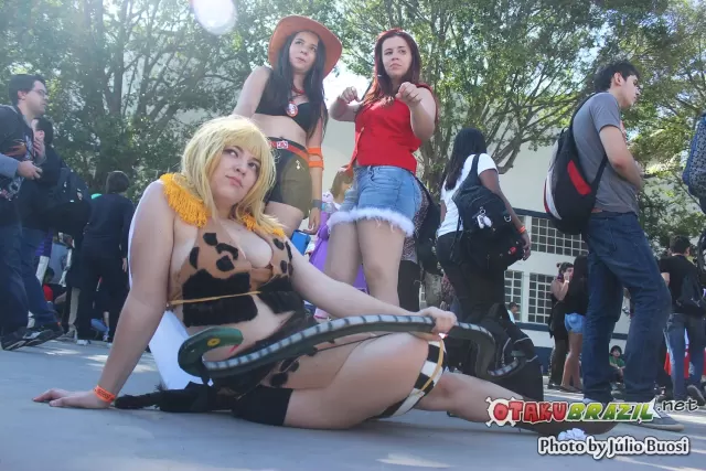 Anime Friends 2013