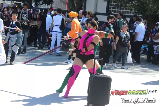 Anime Friends 2013