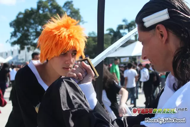 Anime Friends 2013