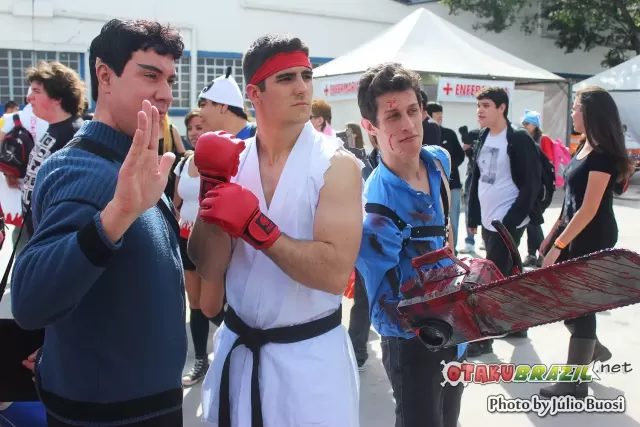 Anime Friends 2013