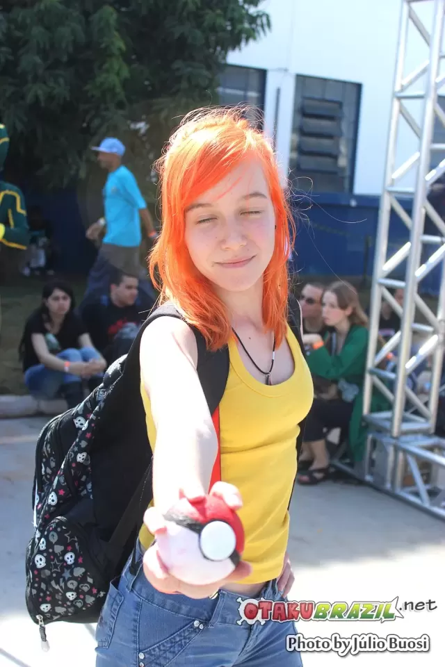 Anime Friends 2013