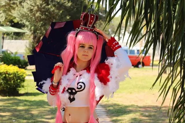 Anime Friends 2014