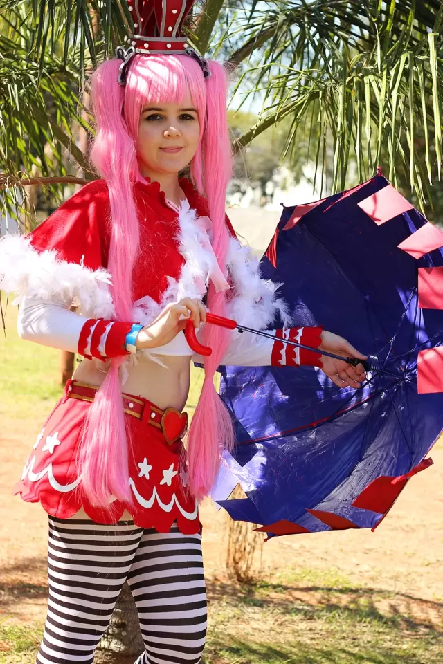 Anime Friends 2014