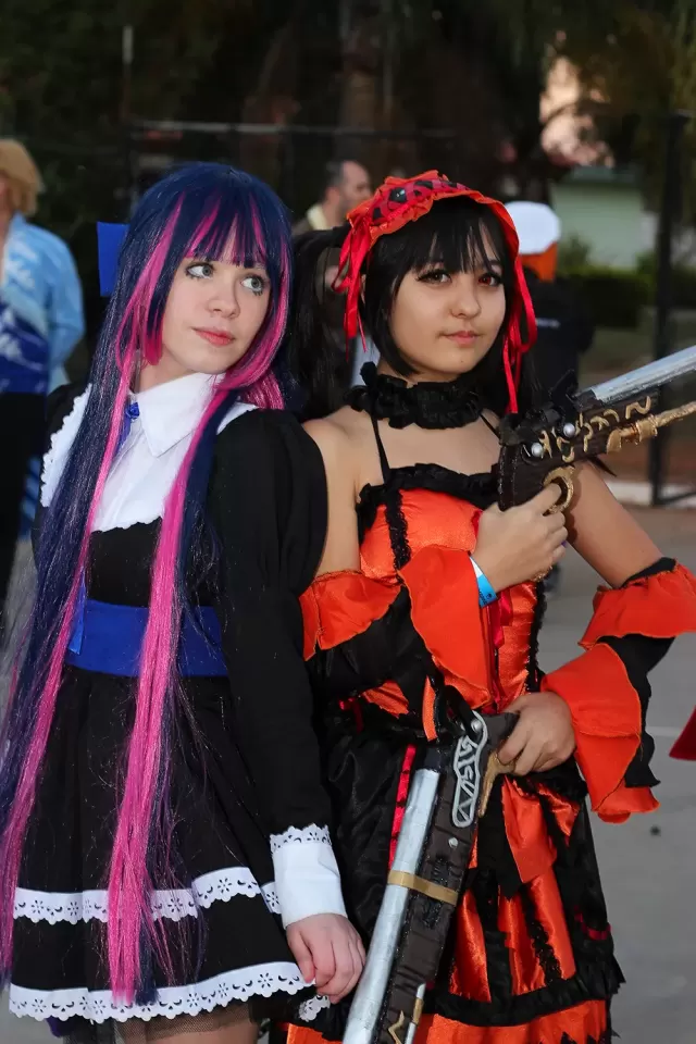 Anime Friends 2014