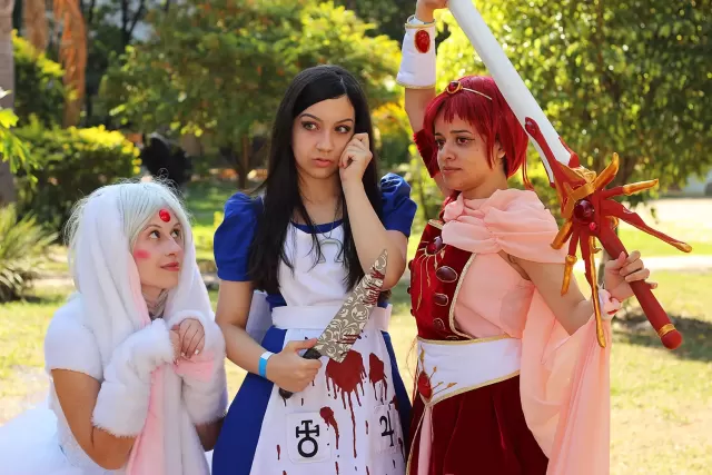 Anime Friends 2014