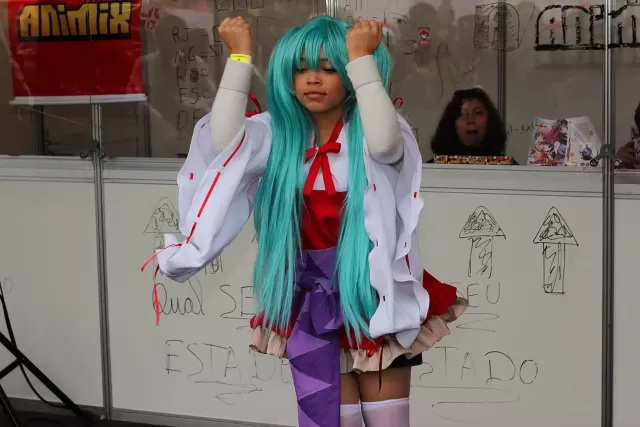 Anime Friends 2014