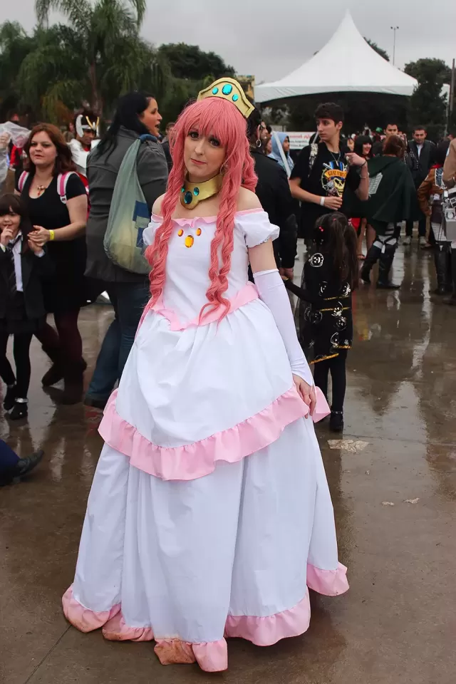 Anime Friends 2014