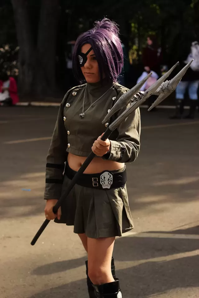 Anime Friends 2014 preview 2