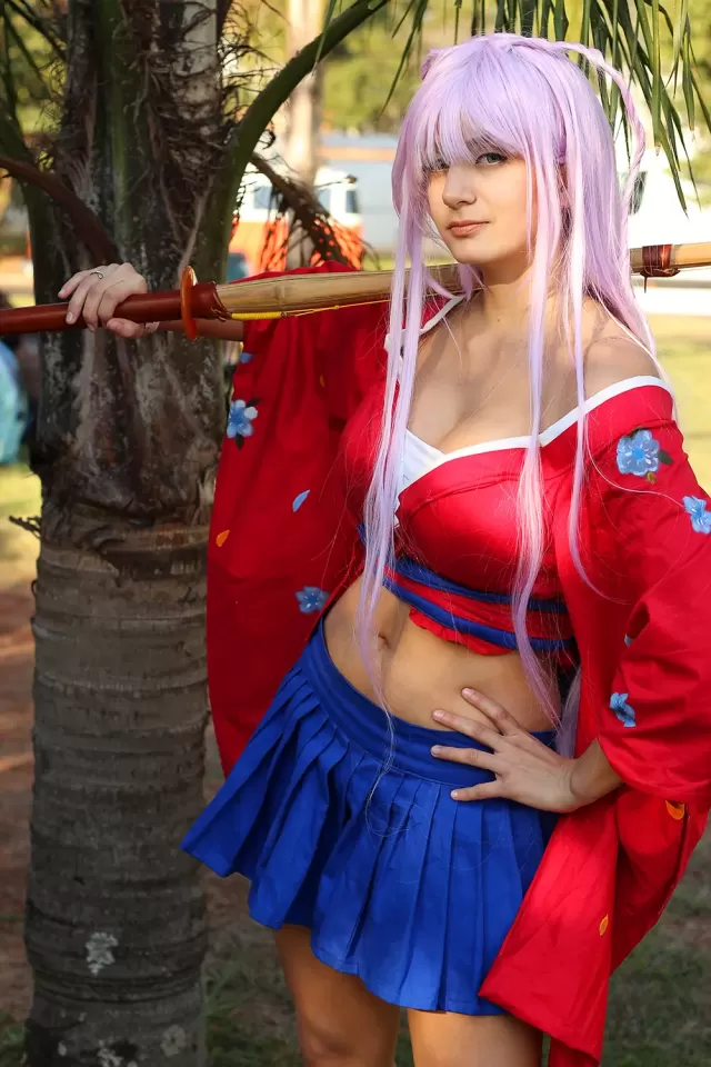 Anime Friends 2014
