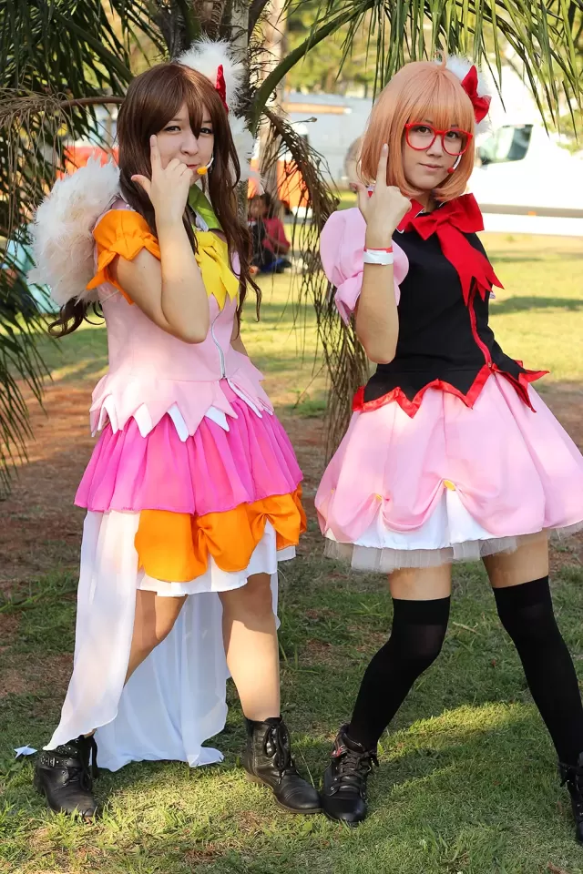 Anime Friends 2014