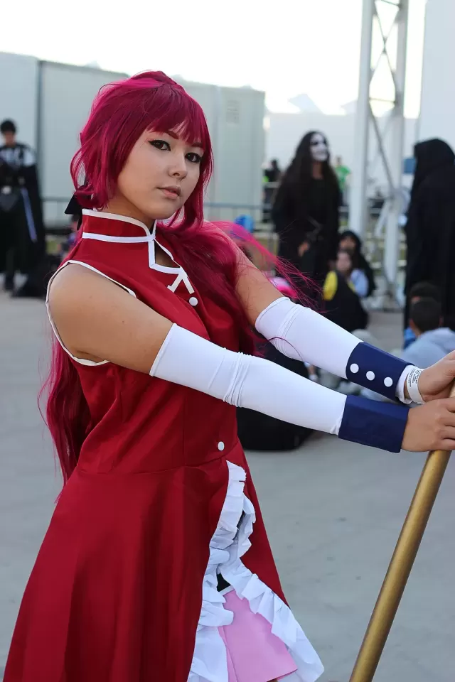 Anime Friends 2014