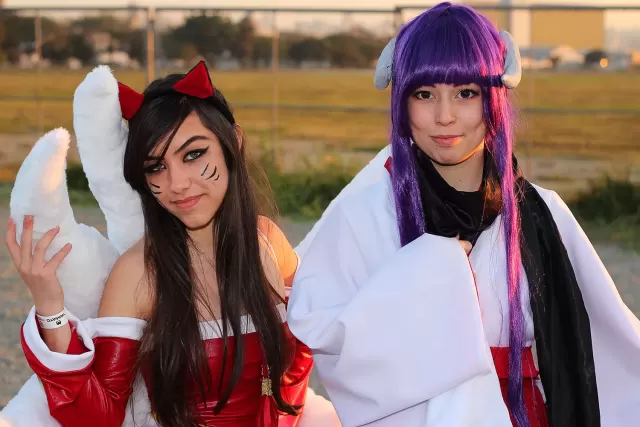 Anime Friends 2014