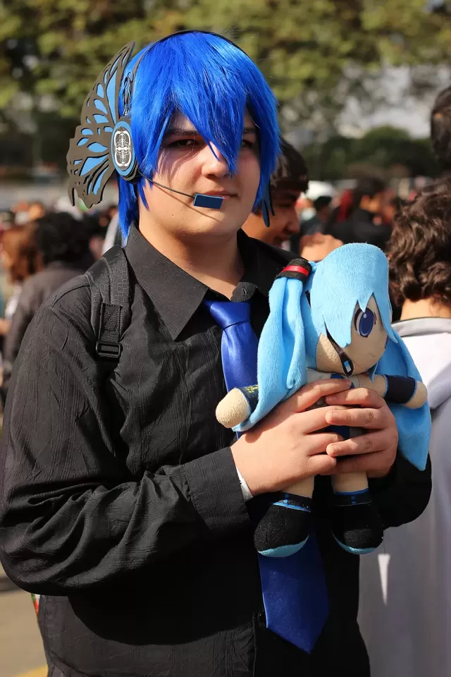 Anime Friends 2014