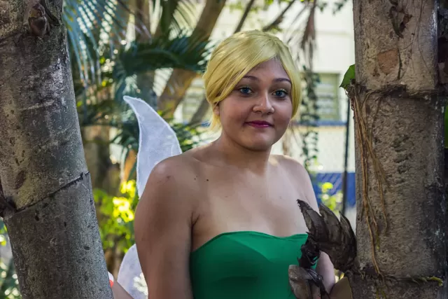 Anime Friends 2015 preview 3