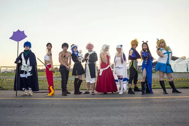 Anime Friends 2015