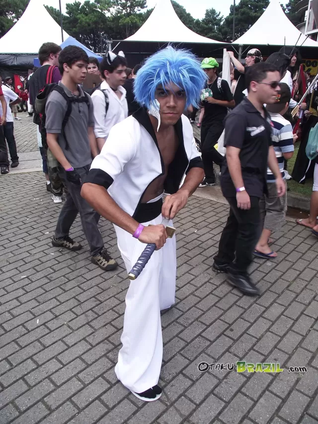 Anime Dreams 2011