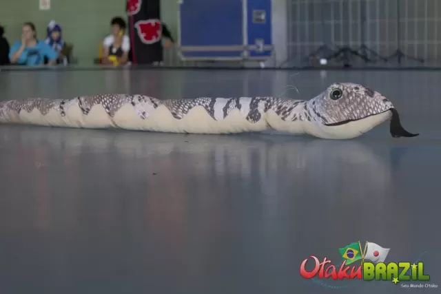 Campinas Anime Fest 2012