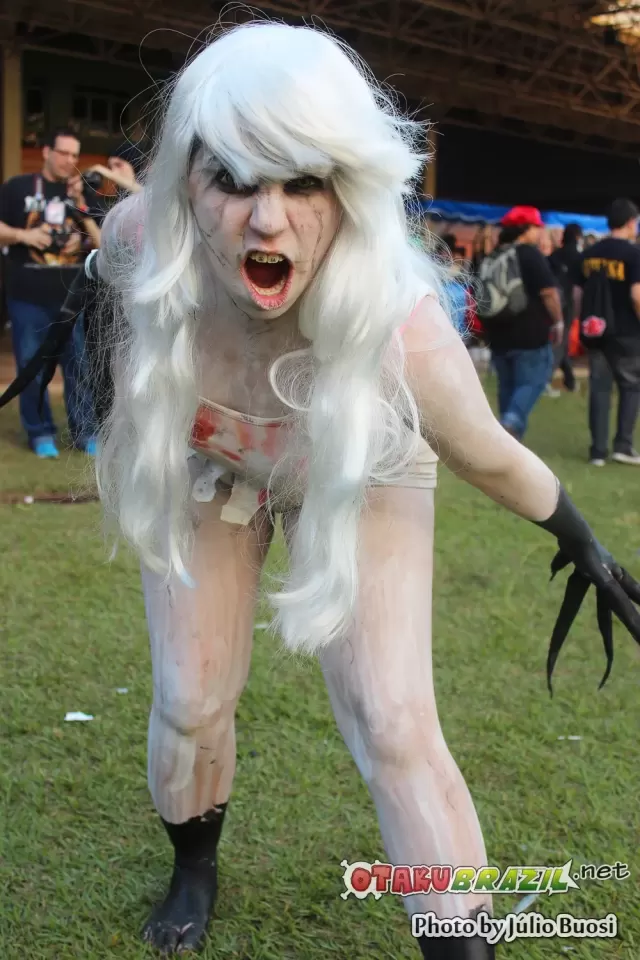 Campinas Anime Fest 2013