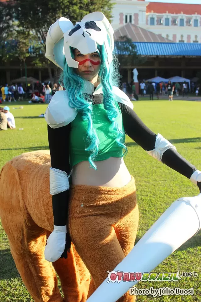 Campinas Anime Fest 2013