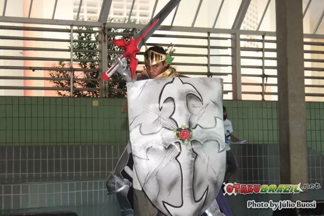 Campinas Anime Fest 2013