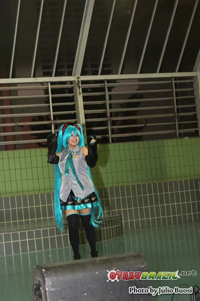 Campinas Anime Fest 2013