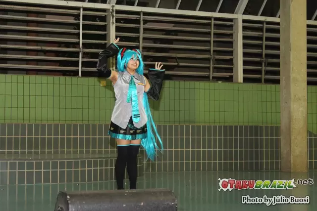 Campinas Anime Fest 2013