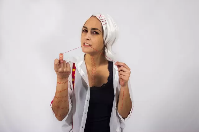 Campinas Anime Fest 2016